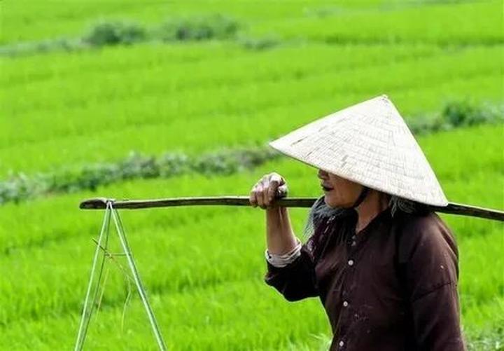 Vươn Cao cùng Hotspot Matrix: Chuyện Thành Công của [Tên Doanh Nghiệp]